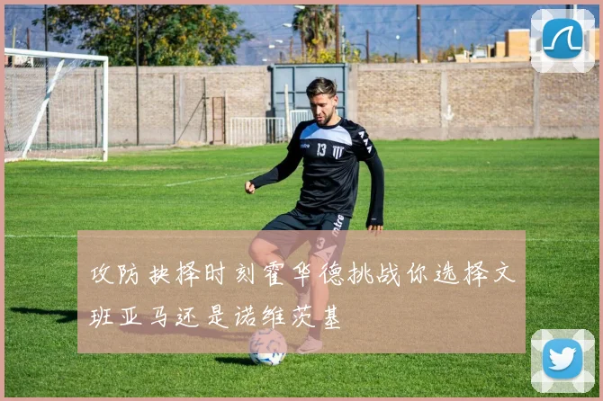 攻防抉择时刻霍华德挑战你选择文班亚马还是诺维茨基